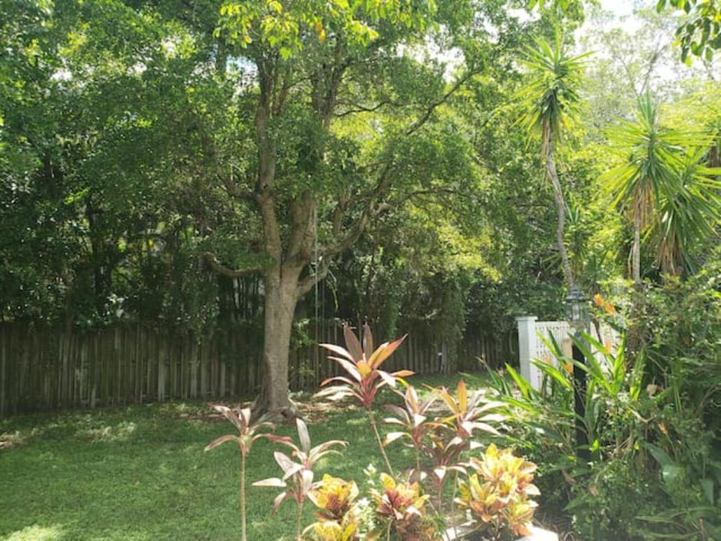 Apts With Backyard Near Fort Lauderdale Beach, Nightlife, Cruise Port, Airport ภายนอก รูปภาพ